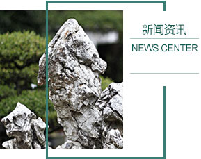 王狮乡